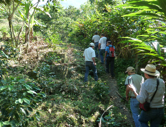 Producteurs arabica coopÃ©rative ASOBAGRI au Guatemala - CafÃ© en grains 1kg